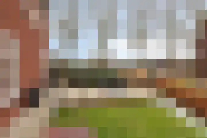 Hilakker 41 Bakel thumbnail 49