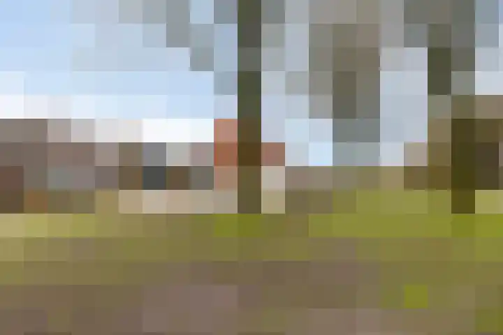 Hilakker 41 Bakel thumbnail 55
