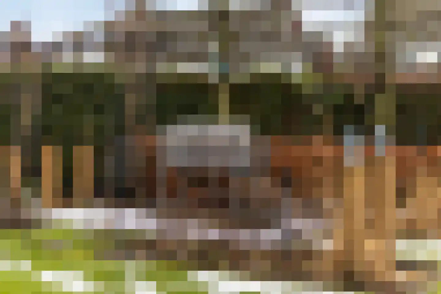 Hilakker 41 Bakel thumbnail 58