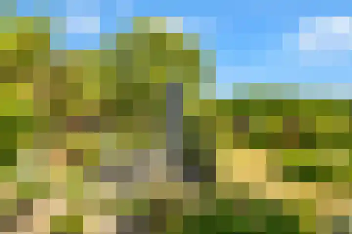 Hilbergsedreef 4 Breda thumbnail 27