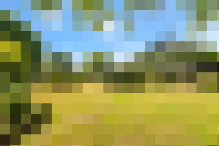 Hilbergsedreef 4 Breda thumbnail 28