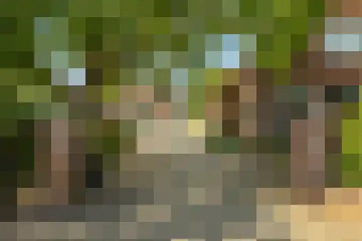 Hilbergsedreef 4 Breda thumbnail 29