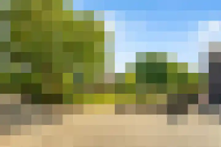 Hilbergsedreef 4 Breda thumbnail 30