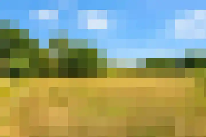 Hilbergsedreef 4 Breda thumbnail 31