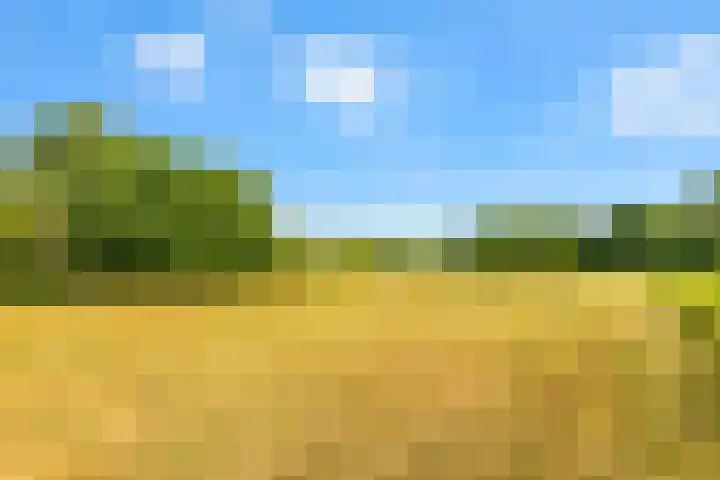 Hilbergsedreef 4 Breda thumbnail 32