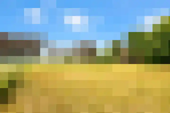 Hilbergsedreef 4 Breda thumbnail 33
