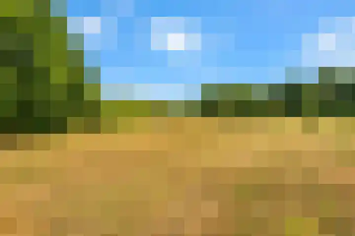 Hilbergsedreef 4 Breda thumbnail 34