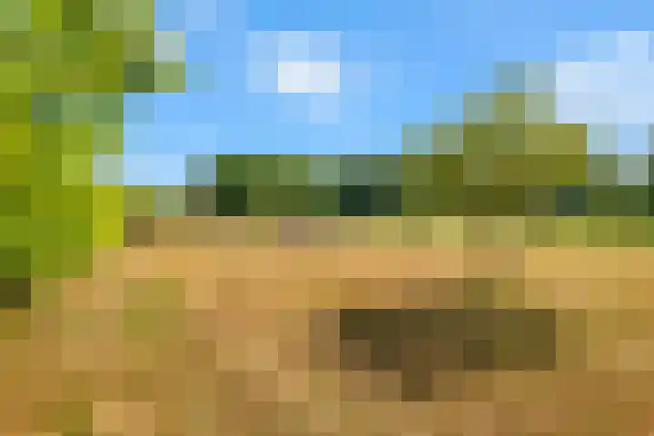Hilbergsedreef 4 Breda thumbnail 35