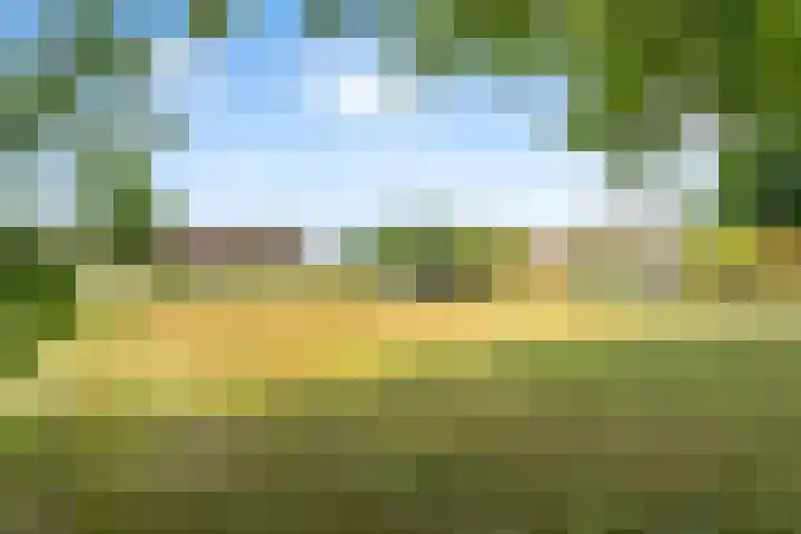 Hilbergsedreef 4 Breda thumbnail 36