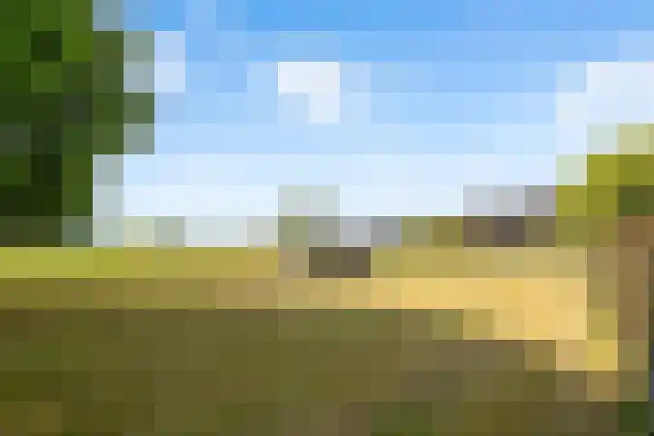 Hilbergsedreef 4 Breda thumbnail 37
