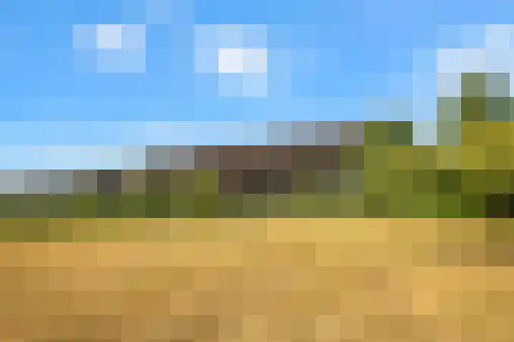 Hilbergsedreef 4 Breda thumbnail 38