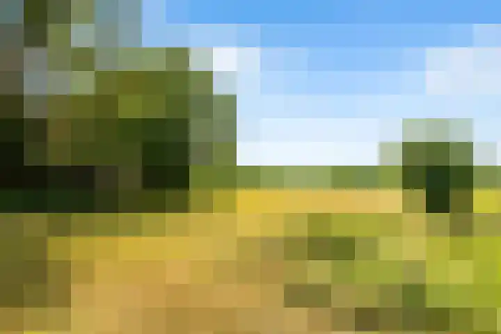 Hilbergsedreef 4 Breda thumbnail 39