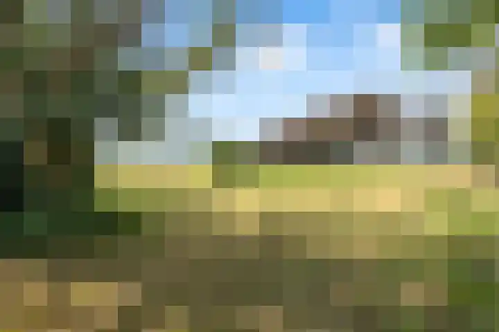 Hilbergsedreef 4 Breda thumbnail 40