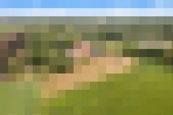 Hilbergsedreef 4 Breda thumbnail 41
