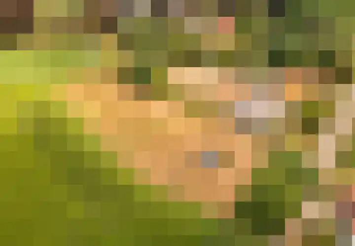 Hilbergsedreef 4 Breda thumbnail 42