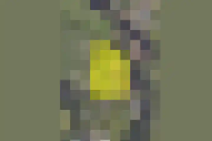Hilbergsedreef 4 Breda thumbnail 45