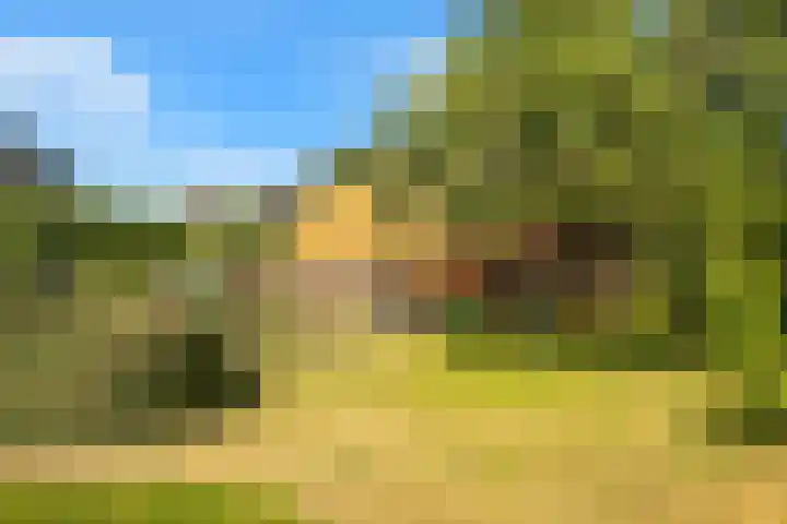 Hilbergsedreef 4 Breda thumbnail 5