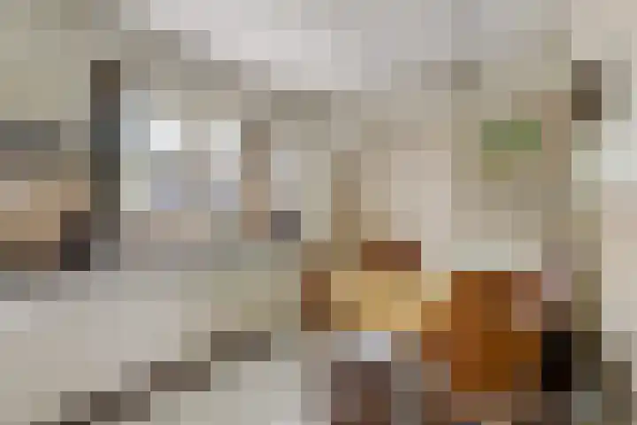 Hilbergsedreef 4 Breda thumbnail 7