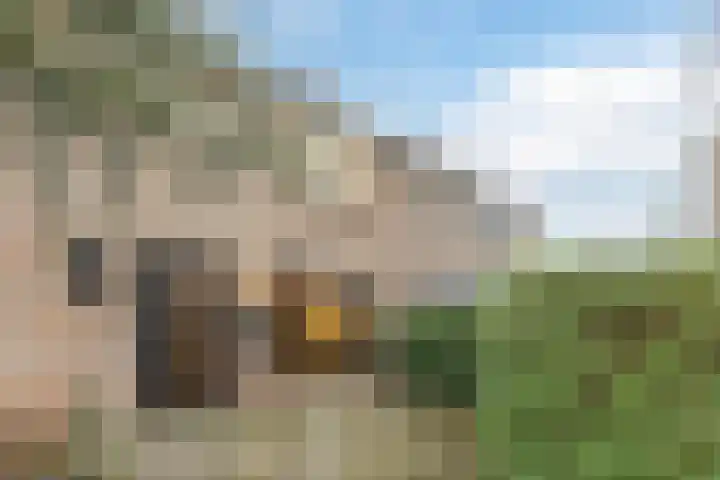 Hilbersplein 4 Beverwijk thumbnail 6
