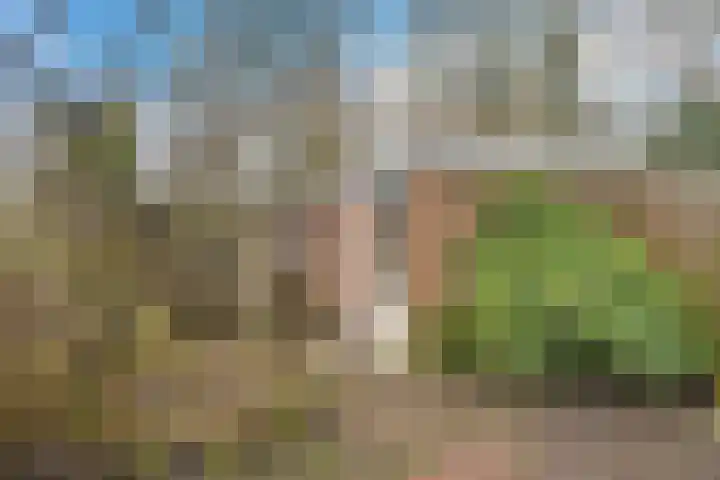 Hilbertlanden 28 Enschede thumbnail 27