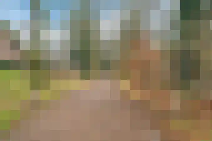 Hilbertlanden 28 Enschede thumbnail 37
