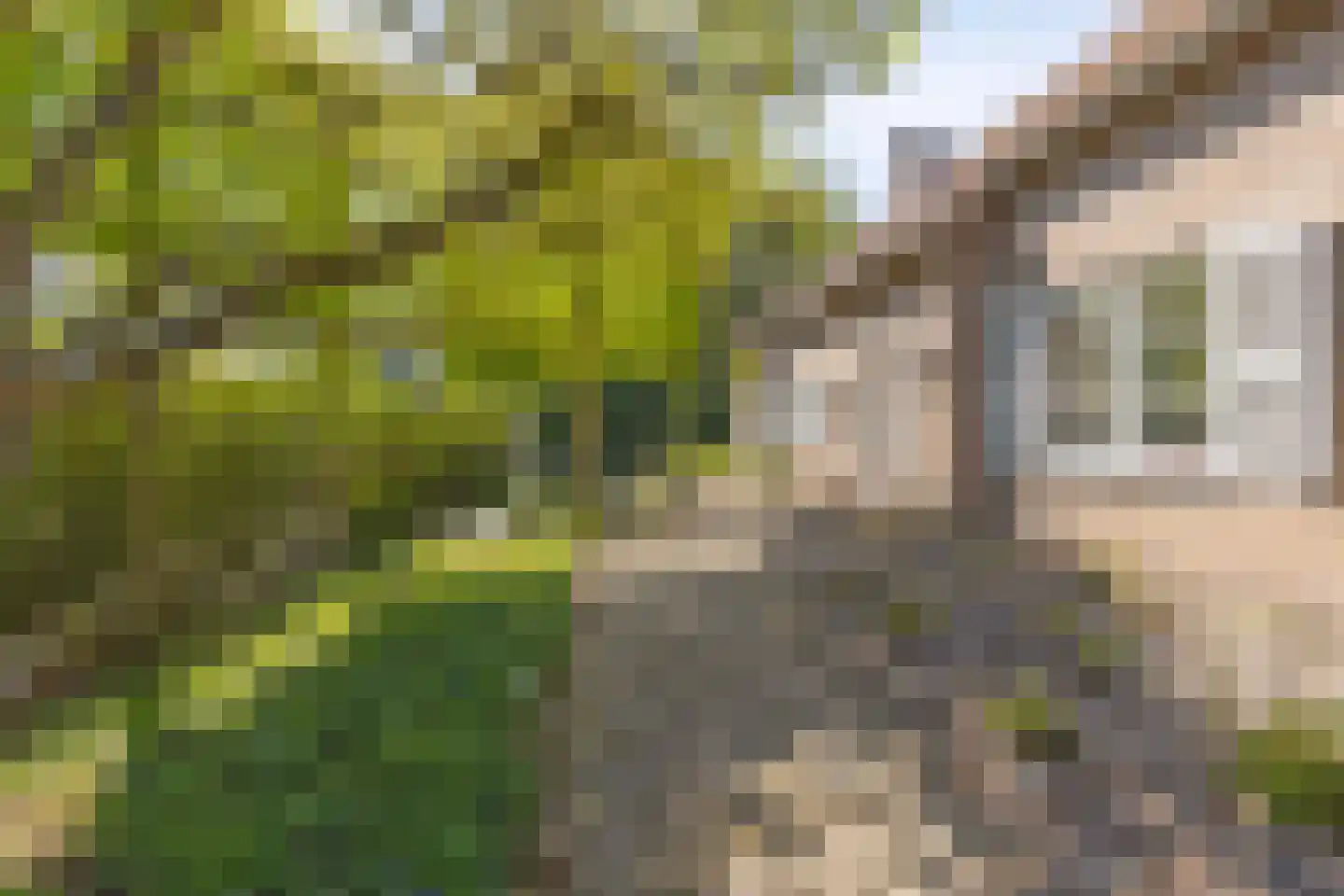 Hild 8 Moergestel thumbnail 10
