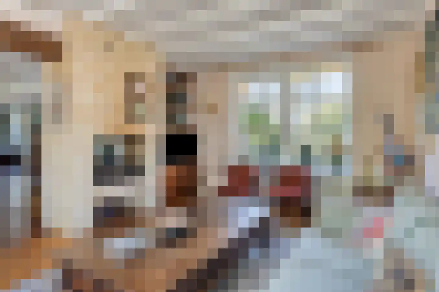Hild 8 Moergestel thumbnail 11