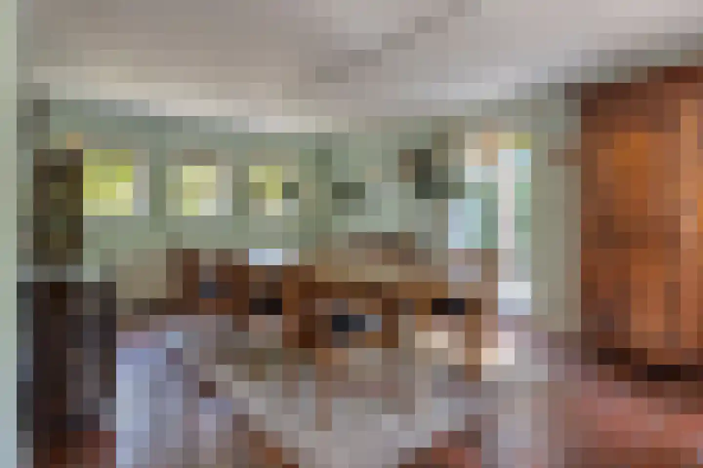 Hild 8 Moergestel thumbnail 16