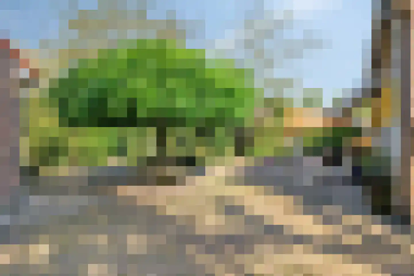 Hild 8 Moergestel thumbnail 31