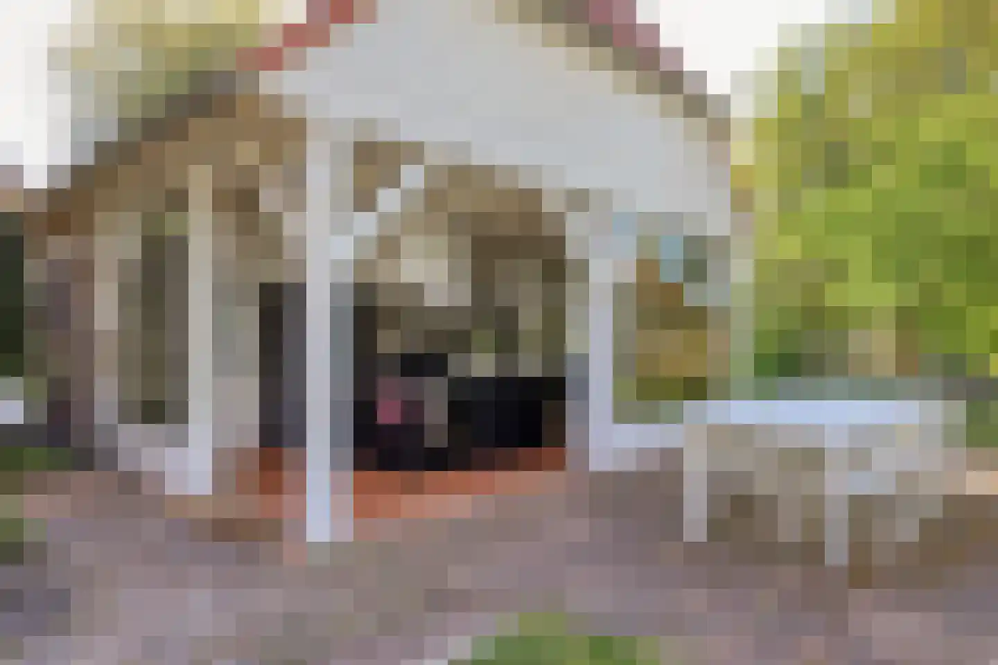 Hild 8 Moergestel thumbnail 34