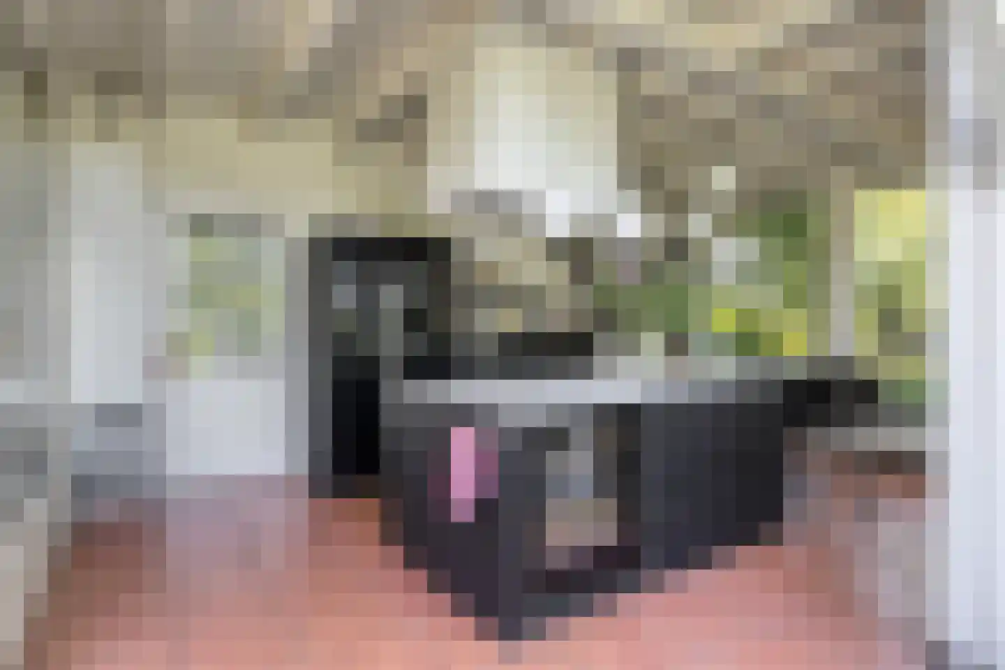Hild 8 Moergestel thumbnail 35