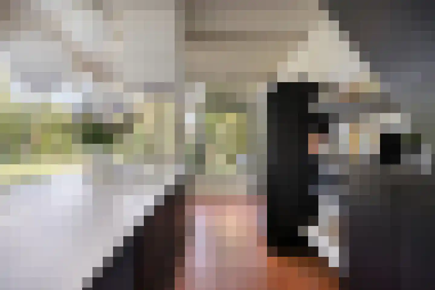 Hild 8 Moergestel thumbnail 36