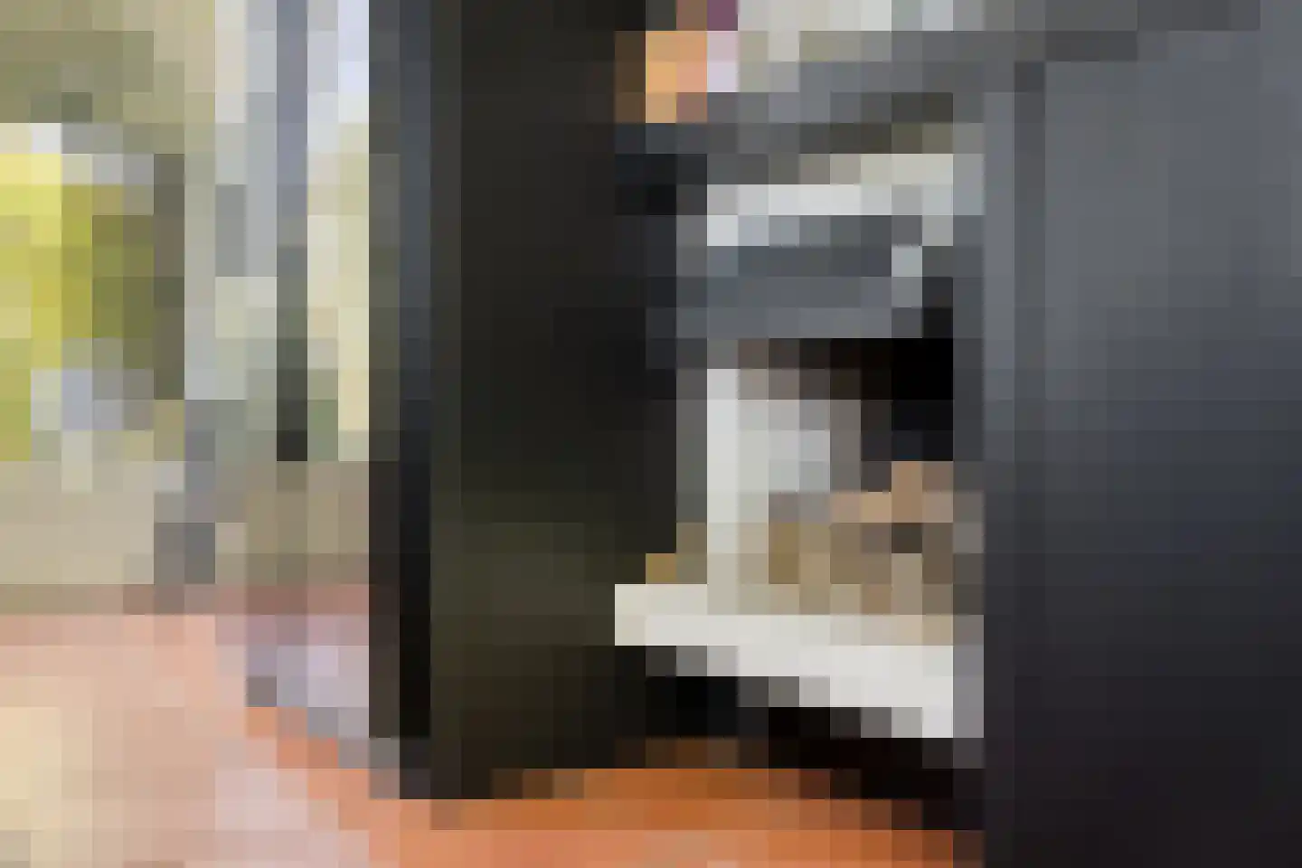 Hild 8 Moergestel thumbnail 37