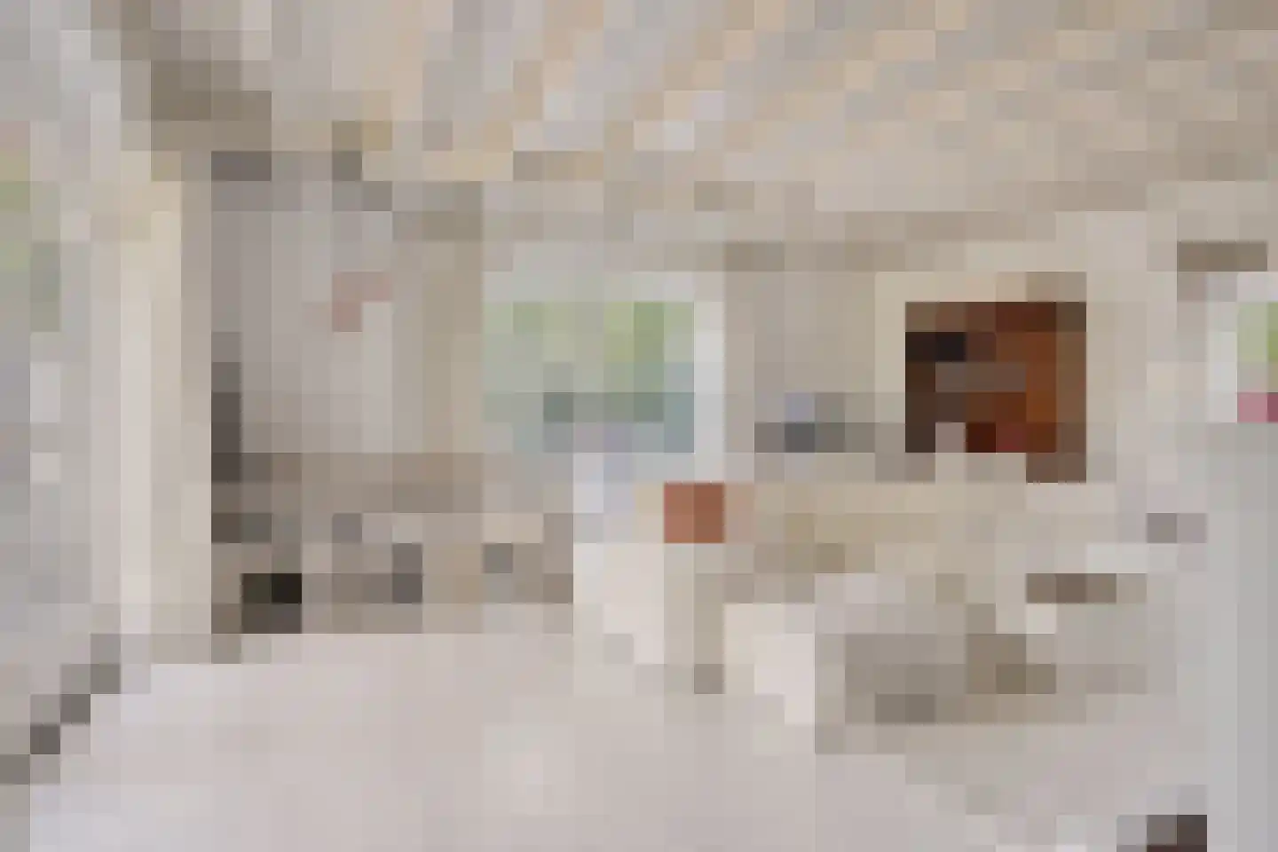 Hild 8 Moergestel thumbnail 38