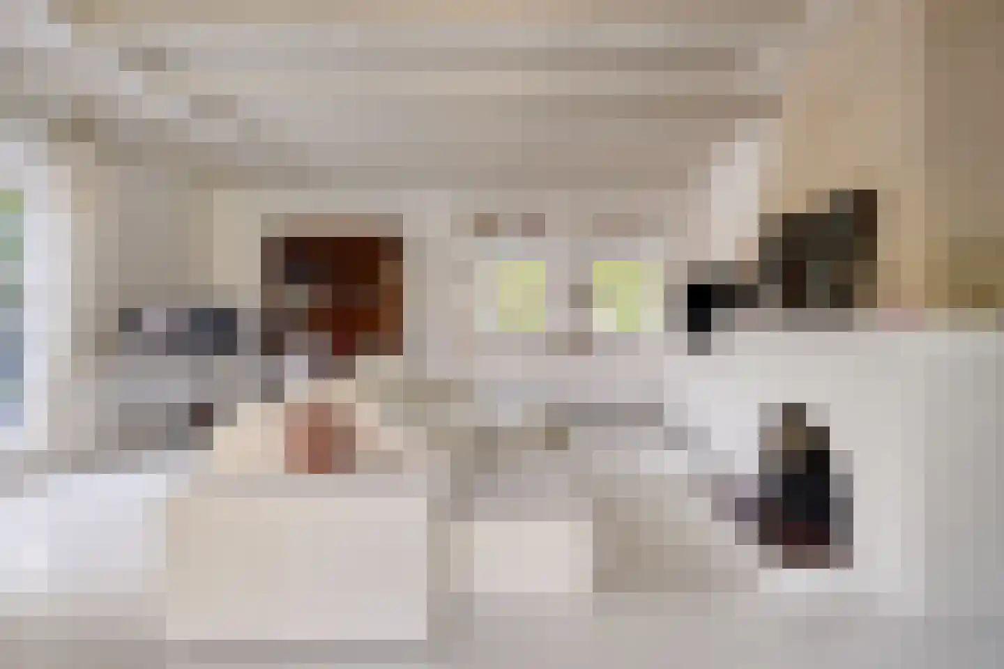 Hild 8 Moergestel thumbnail 39