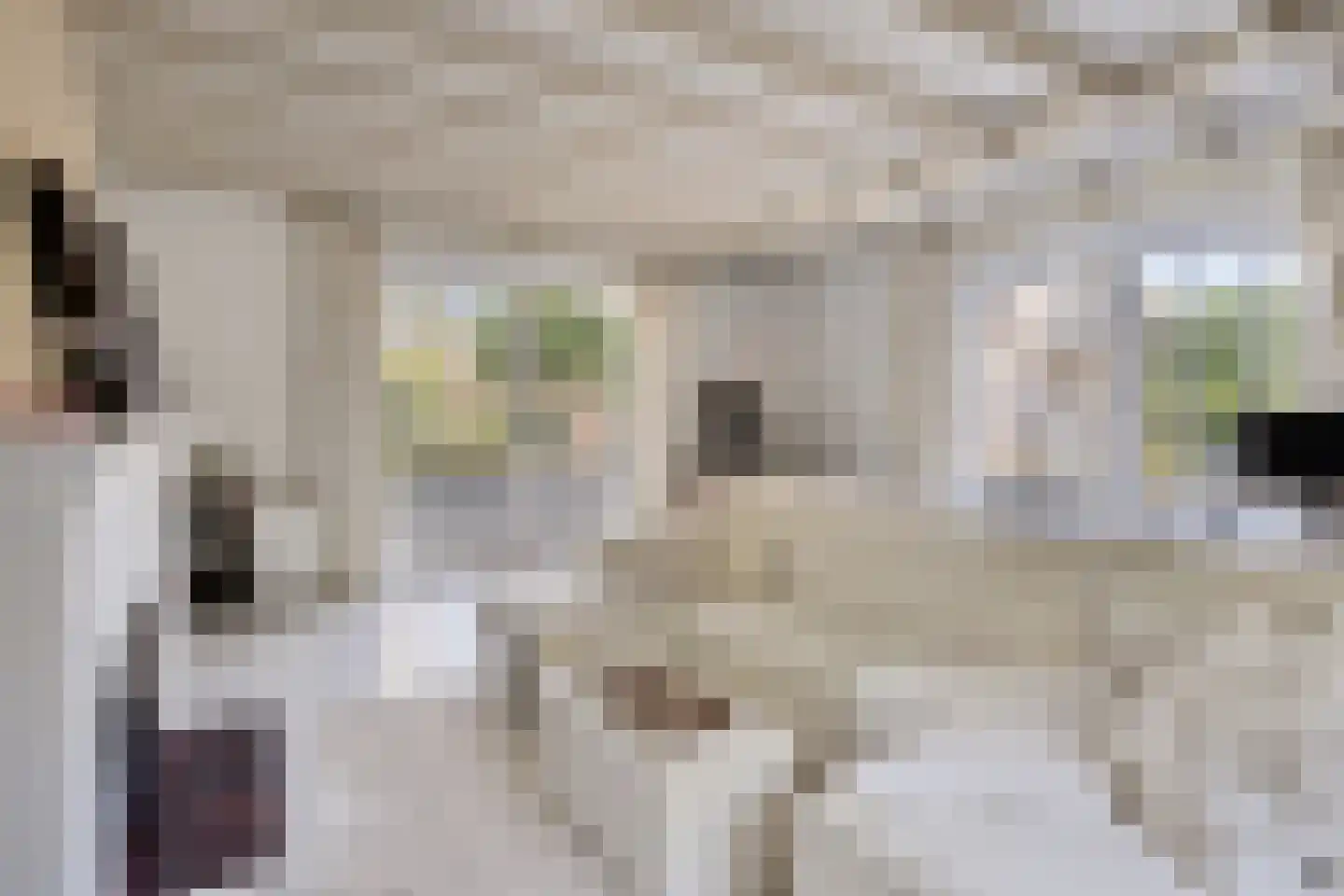 Hild 8 Moergestel thumbnail 40