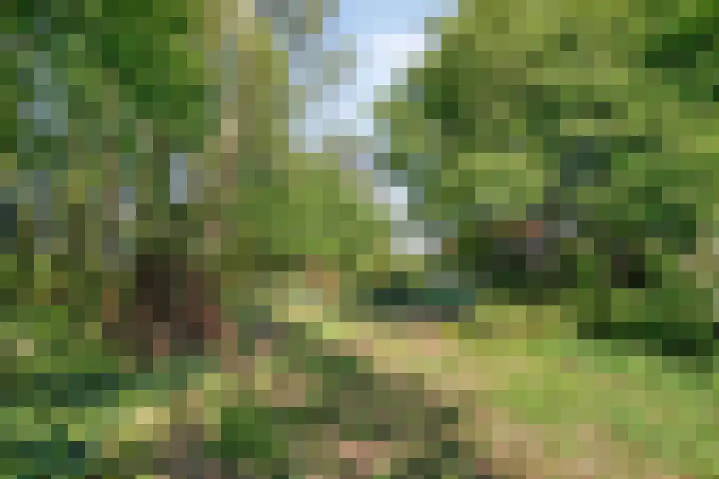 Hild 8 Moergestel thumbnail 44