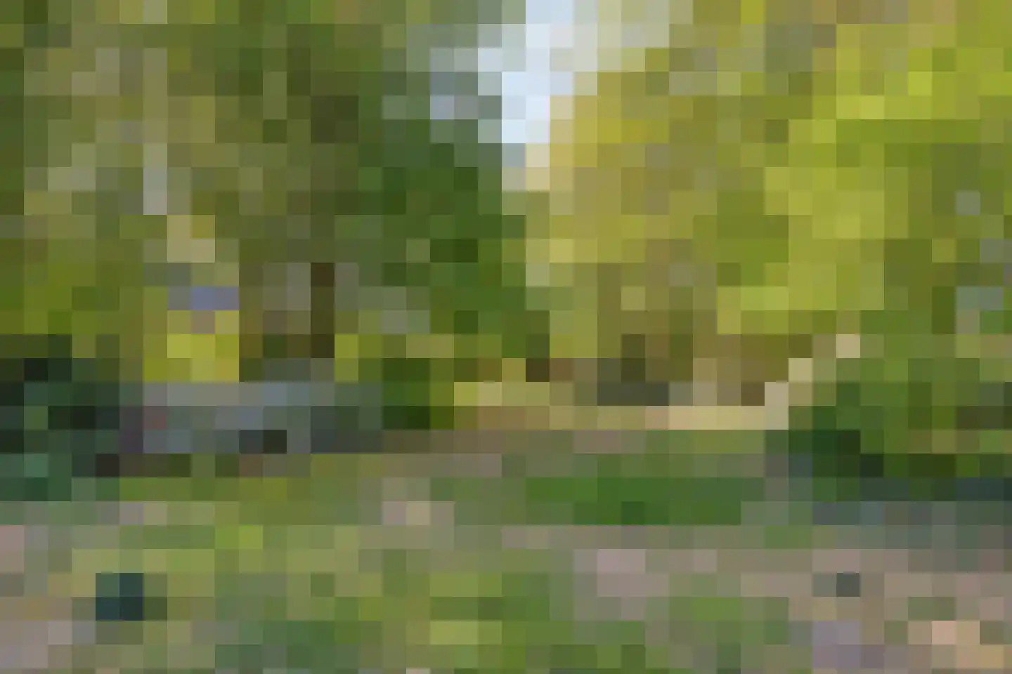 Hild 8 Moergestel thumbnail 45
