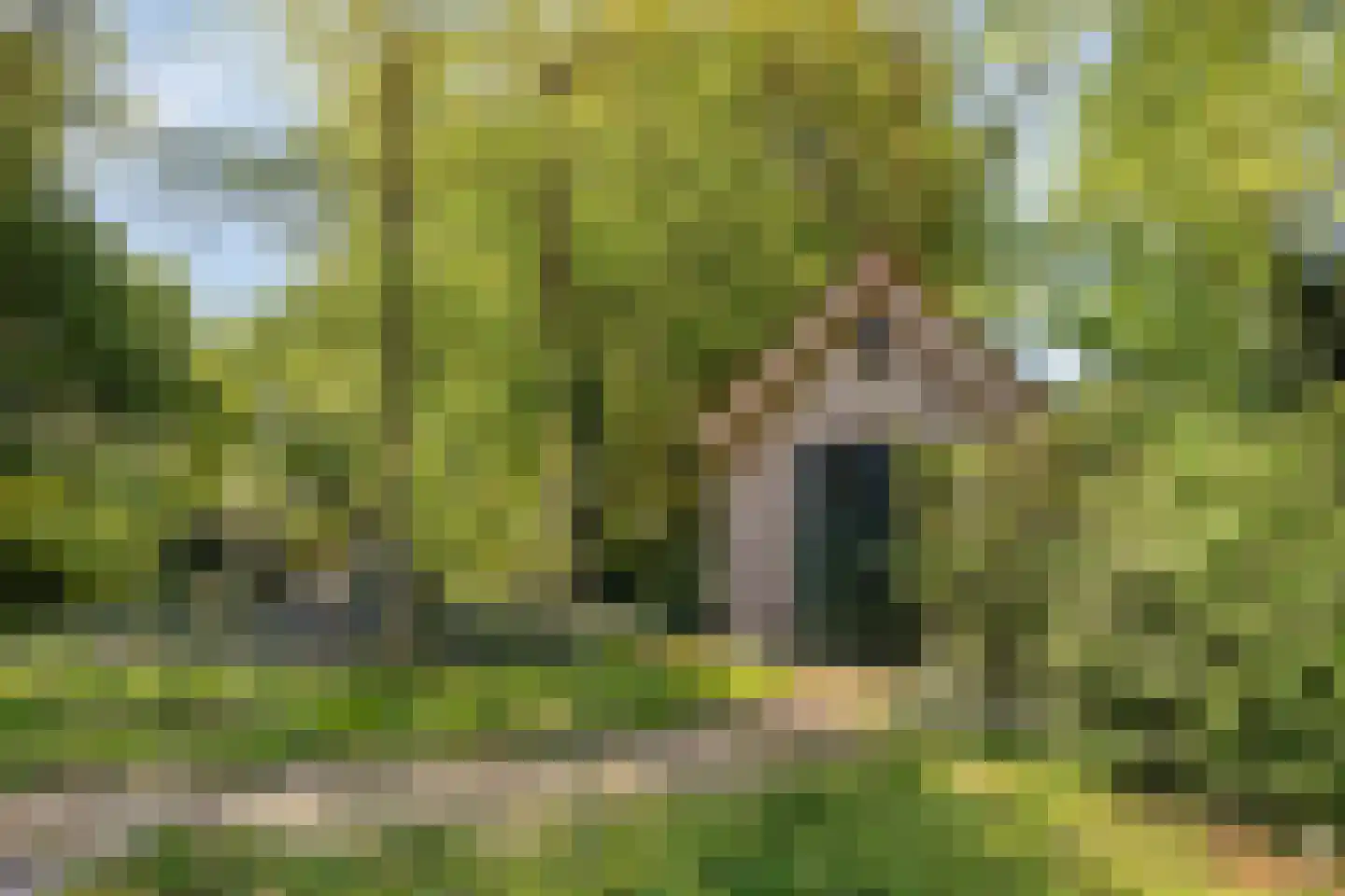 Hild 8 Moergestel thumbnail 46