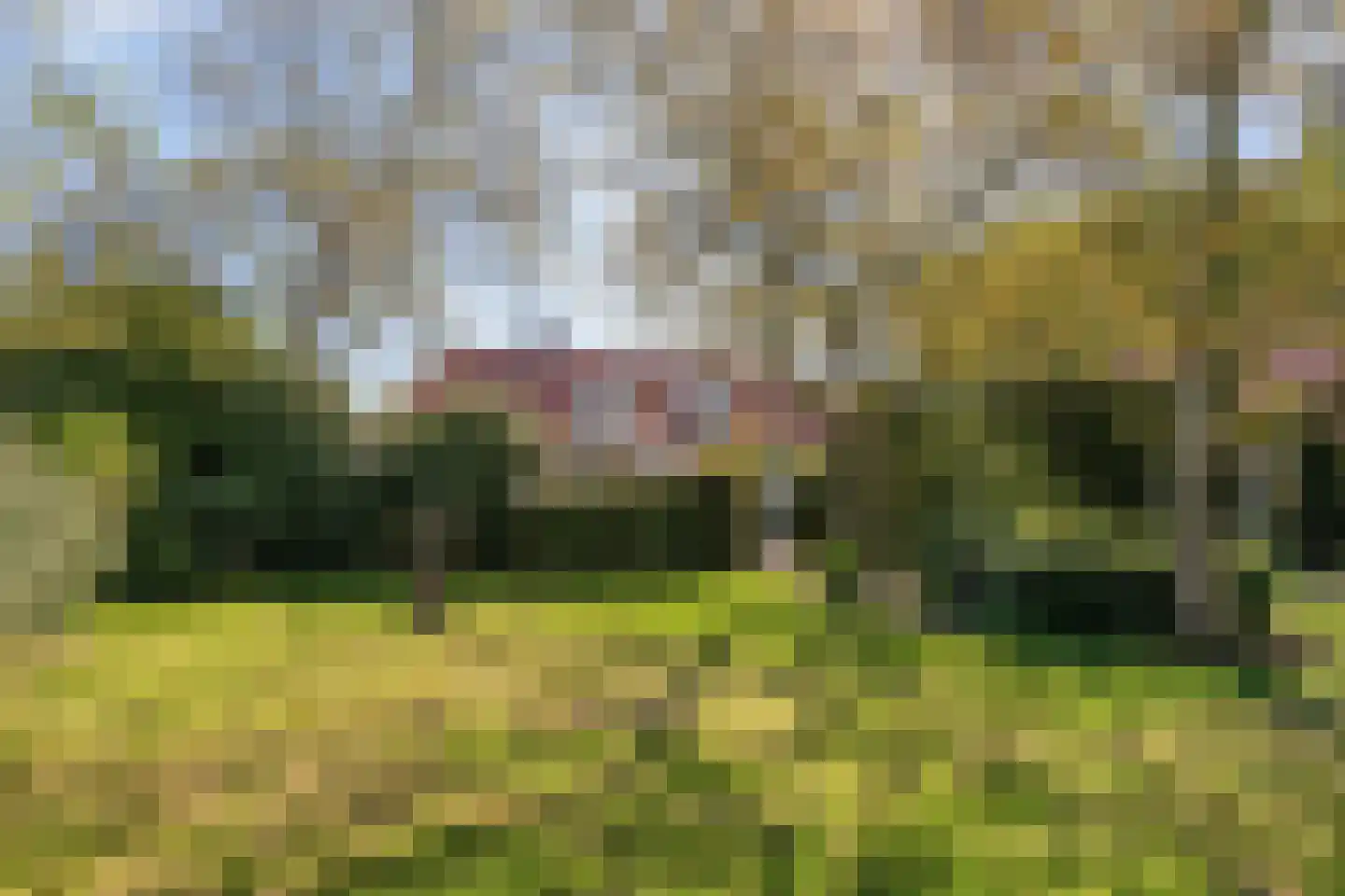 Hild 8 Moergestel thumbnail 47
