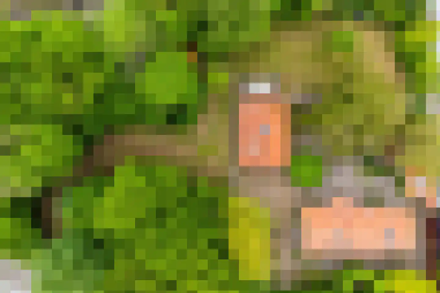 Hild 8 Moergestel thumbnail 48
