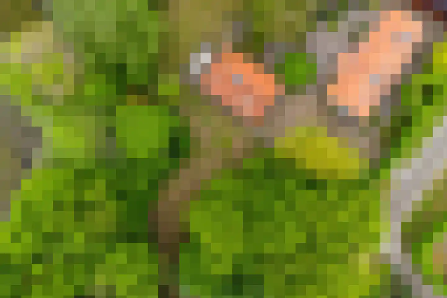 Hild 8 Moergestel thumbnail 49