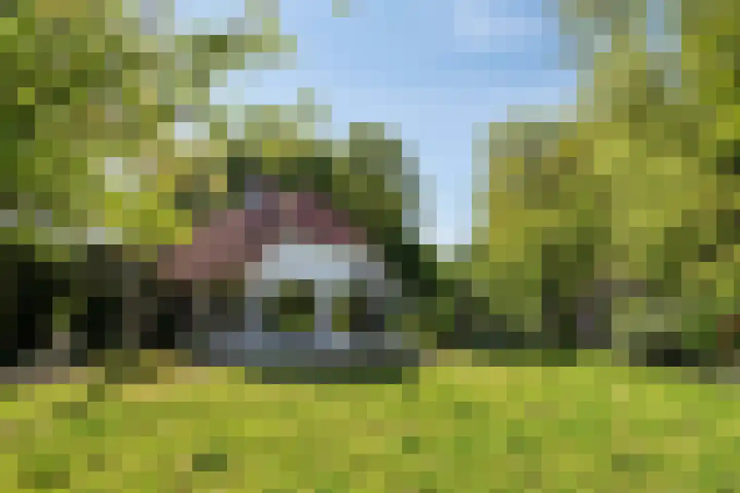 Hild 8 Moergestel thumbnail 5