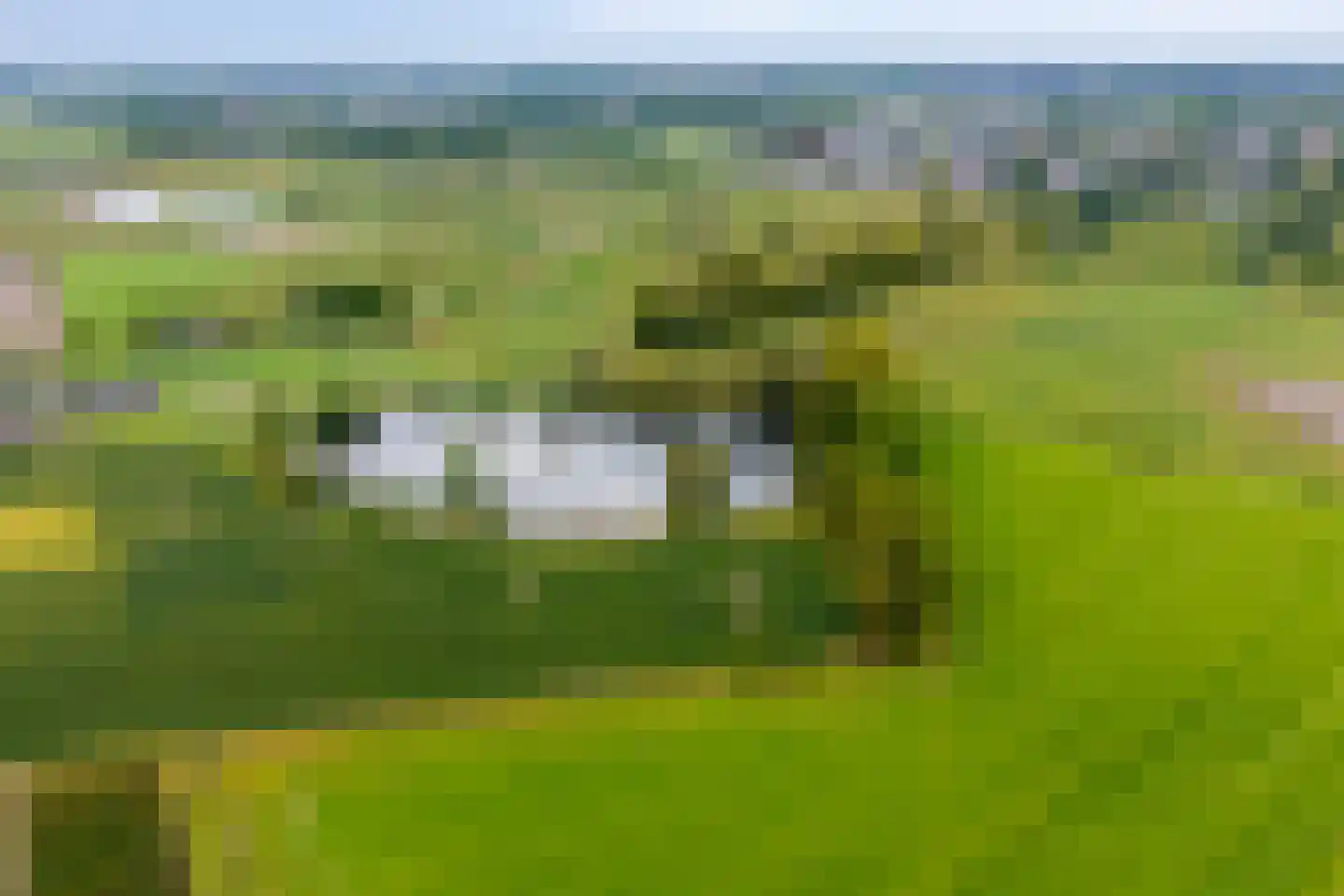 Hild 8 Moergestel thumbnail 50