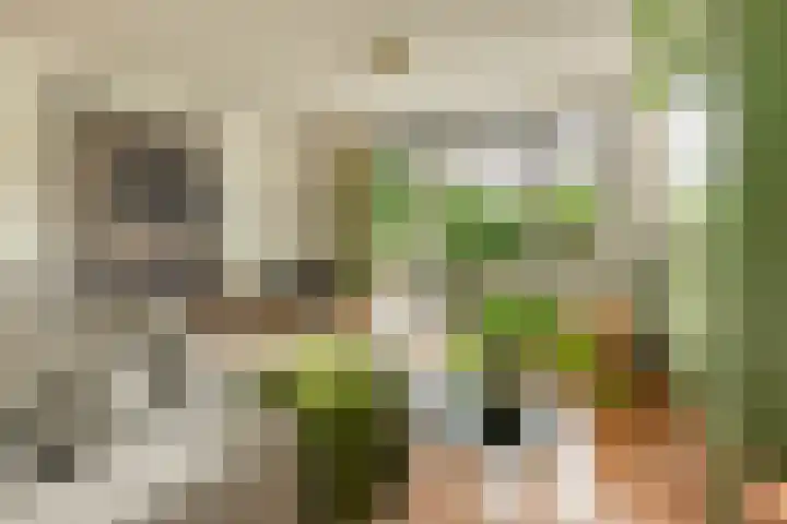 Hilde 6 Aalden thumbnail 14