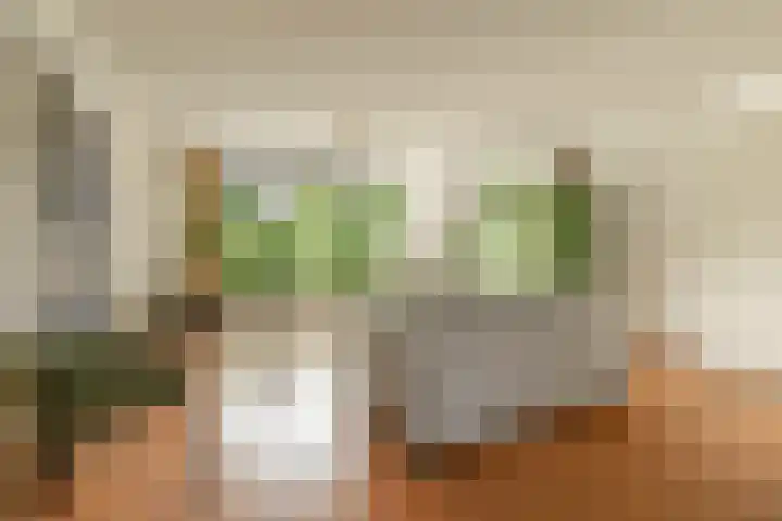 Hilde 6 Aalden thumbnail 15