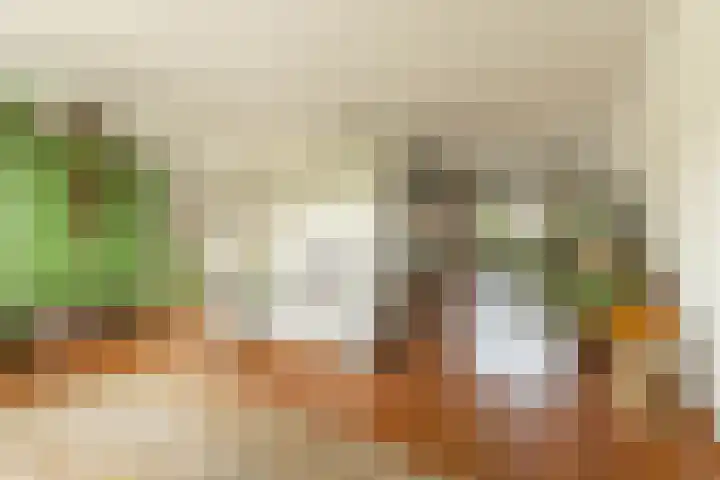 Hilde 6 Aalden thumbnail 17