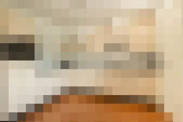 Hilde 6 Aalden thumbnail 19