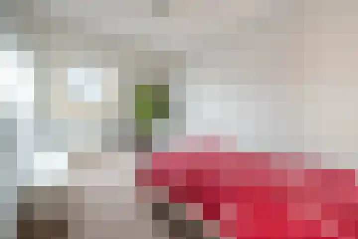 Hilde 6 Aalden thumbnail 27