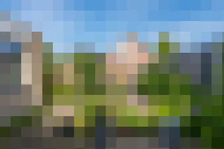 Hilde 6 Aalden thumbnail 31